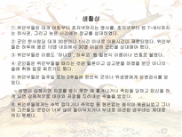 일본군 위안부-6
