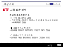 하이트 맥주 국제 마케팅 성공 사례-6