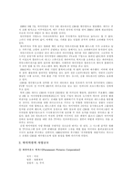 다국적 미디어기업의 소유구조와 현황 다국적 미디어 그룹의 시대 타임워너 분석-11