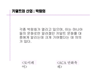 키덜트 문화 레포트-12