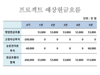 자본예산결정 레포트-5
