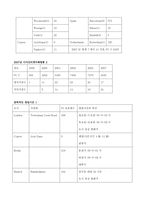 이지그룹 이지그룹 소개 이지젯 성공분석 이지그룹 핵심역량 이지그룹 다각화전략-9