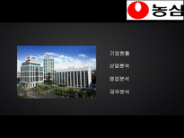 농심 기업분석-2