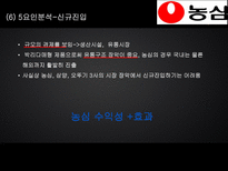 농심 기업분석-12