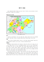 중국 산동 레포트-1