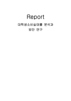 대학생소비실태를 분석과 방안 연구-1