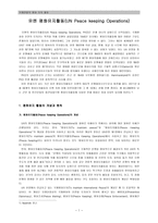 국제연합의 평화활동 유지-3
