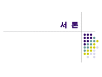 행동 행위 프락시스 개념의 행정윤리적 정향-2