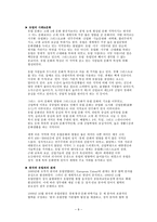 해외시장조사론 CJ푸드빌 BIBIGO 유럽시장조사 보고서 및 진출 전략-8