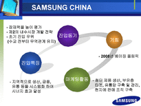 국내 대기업의 기업전략과 현지화전략 삼성전자 LG전자 현대자동차-4