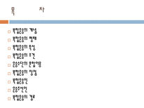 복합운송 개념 형태 특성 조건 혼합이용 장점 운송 주선인-2
