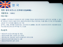 각국의 중소기업 정책 입안과 실시-20