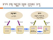 국제금융위기와 한국경제 전망 미국발 금융위기 전개과정과 현 상황 한국의 금융위기-16