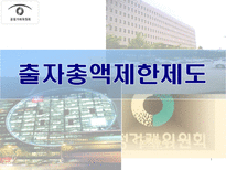 출자총액제한제도-1