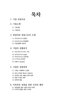 중소기업 경영론 아이코닉스-2