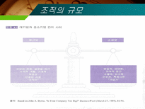 조직규모 조직수명주기와 조직쇠퇴-7