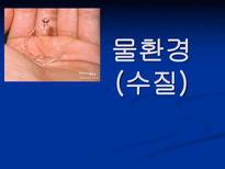 물환경 수질 레포트-1