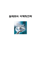 질레트의 마케팅전략 질레트 기업분석 질레트 기업소개-1