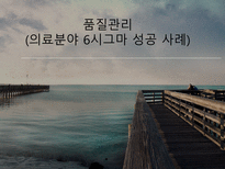품질관리 - 의료분야 6시그마 성공 사례-1