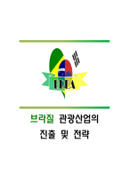 브라질 관광산업의 진출 및 전략 브라질 환경 분석 브라질 사회구성-1