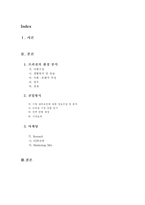 브라질 관광산업의 진출 및 전략 브라질 환경 분석 브라질 사회구성-2