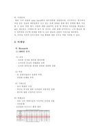 브라질 관광산업의 진출 및 전략 브라질 환경 분석 브라질 사회구성-11