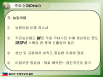 필리핀의 경제성장과 발전-17