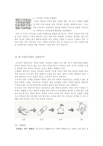 사회적 기업론 레포트 SHOES fOR tOMORRW TOMS TOMS 기업소개 TOMS 기업이념-4