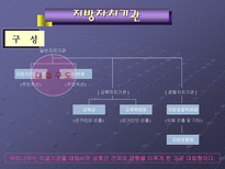 지방자치의 이해-20