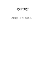 비교발전행정론 이집트 분석 보고서-1