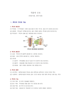 식물의 구조 영양기관 생식기관-1