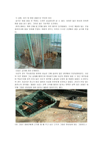 애견 훈련소의 실태조사-4
