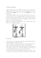자연과학 수학자들의 삶-2