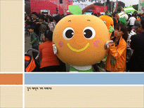 세계 김치 문화 축제 세계김치문화축제 김치어원유래 김치축제주요일정-19
