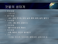 갯벌의 중요성-3