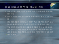 갯벌의 중요성-5