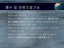 갯벌의 중요성-7