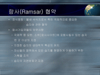 갯벌의 중요성-18