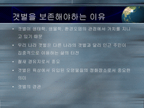 갯벌의 중요성-19