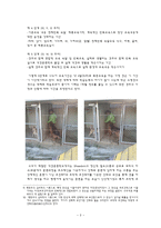 애견 훈련학교의 실태조사-5