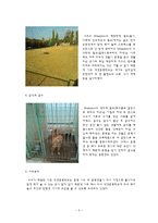 애견 훈련학교의 실태조사-7