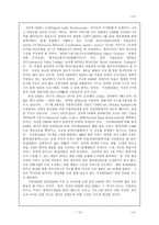 공학기술 DMB 레포트-13