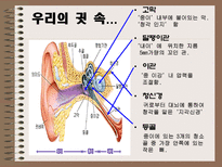 자연과학 소음으로 인한 피해와 극복방안-5