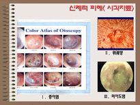 자연과학 소음으로 인한 피해와 극복방안-18