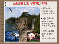 자연과학 소음으로 인한 피해와 극복방안-19