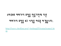 자연과학 소마큐브 Soma Cube 소마의 뜻-15