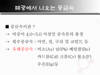 자연과학 폐광 소리 없는 환경 폭탄-8