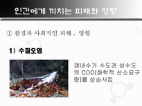 자연과학 폐광 소리 없는 환경 폭탄-12