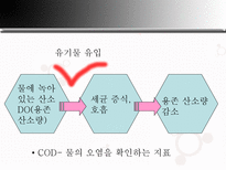 자연과학 폐광 소리 없는 환경 폭탄-13