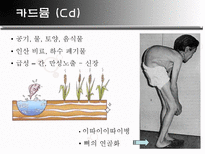 자연과학 폐광 소리 없는 환경 폭탄-15